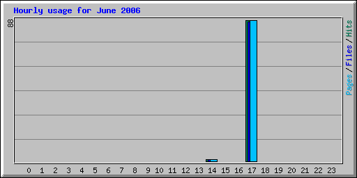 Hourly usage for June 2006
